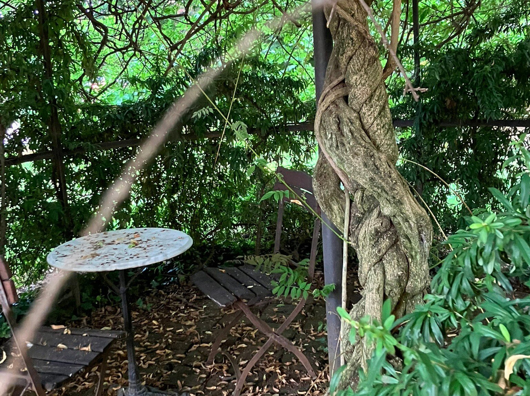 Villa Mirano Bed & Breakfast主图