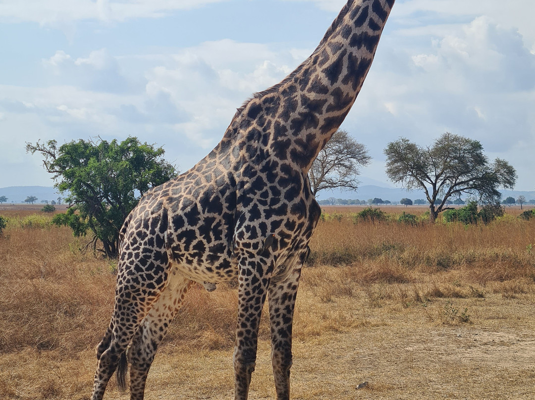 Zanvert Tours & Safaris-桑给巴尔市必去景点