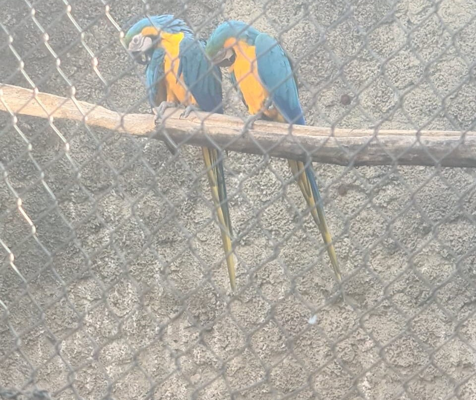 Kuimba Shiri Bird Sanctuary景点图片