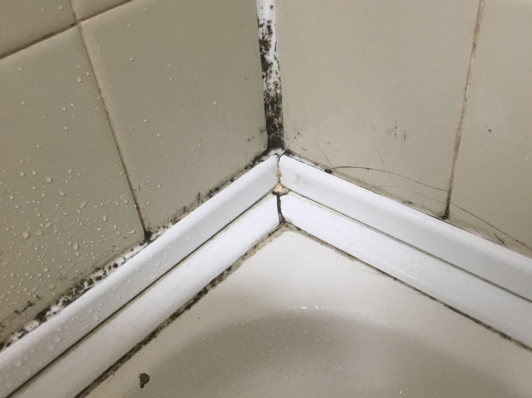 Lancaster University Guest Rooms主图