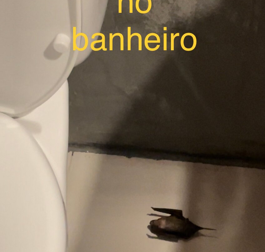阿廷斯水之村