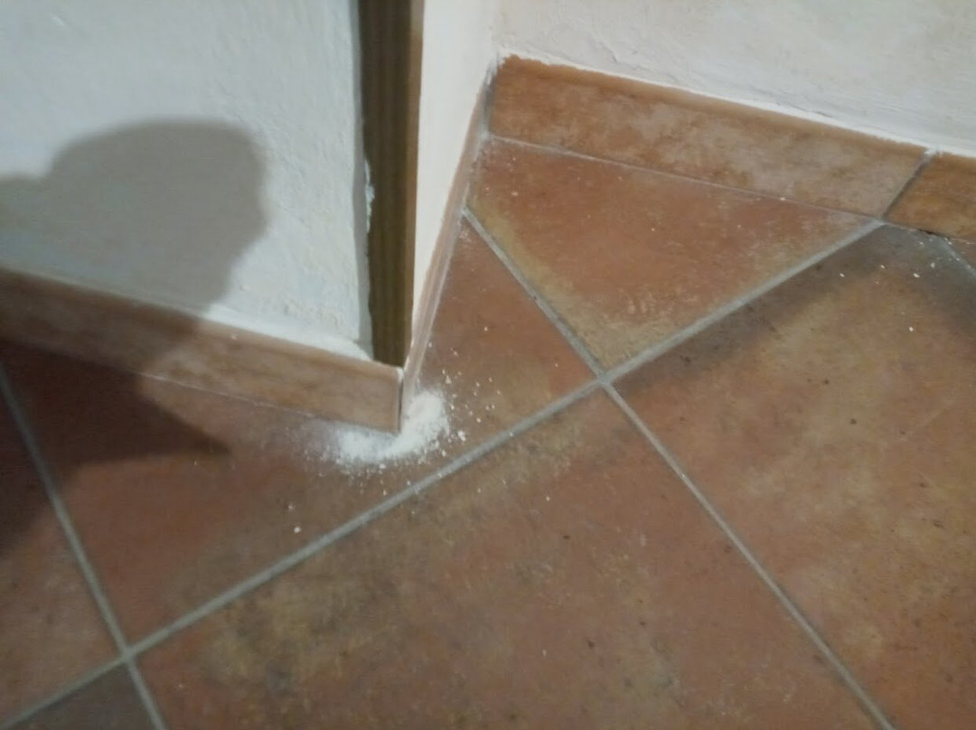 TAM Casa Vacanze主图