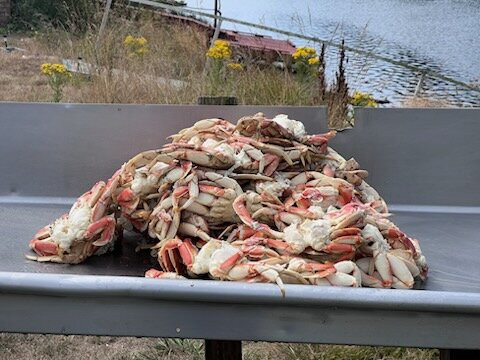 Haystack Fishing-太平洋城必去景点