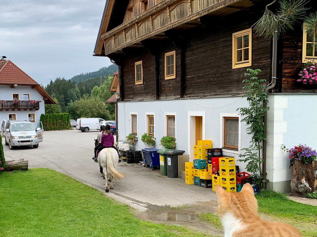 Pension Zechnerhof主图