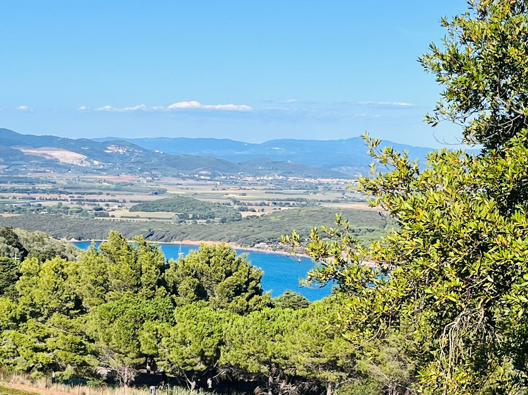 Baratti and Populonia Archeological Park景点图片