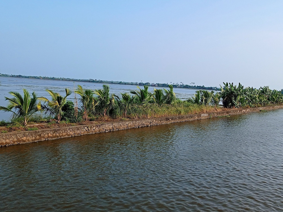Alleppey Backwater Cruises-阿拉普扎必去景点