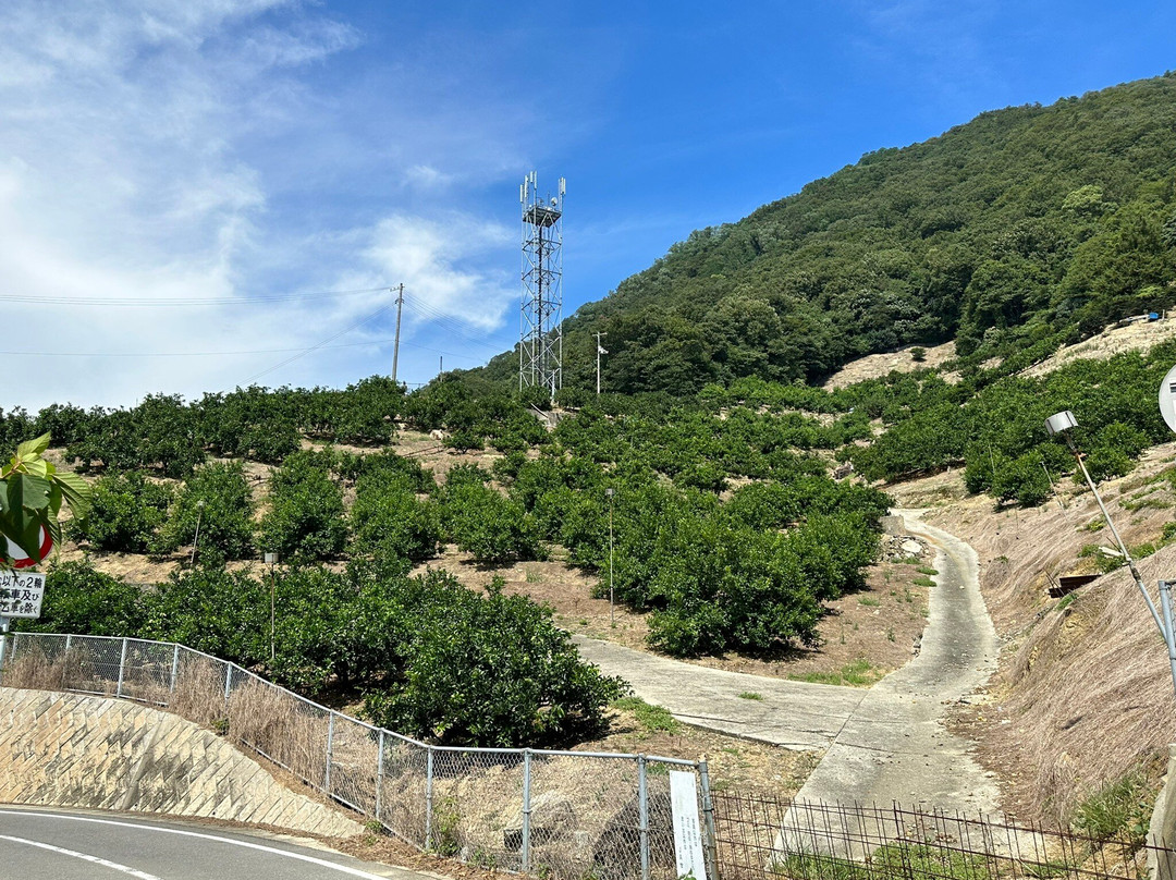 Ikuchijima-尾道市必去景点