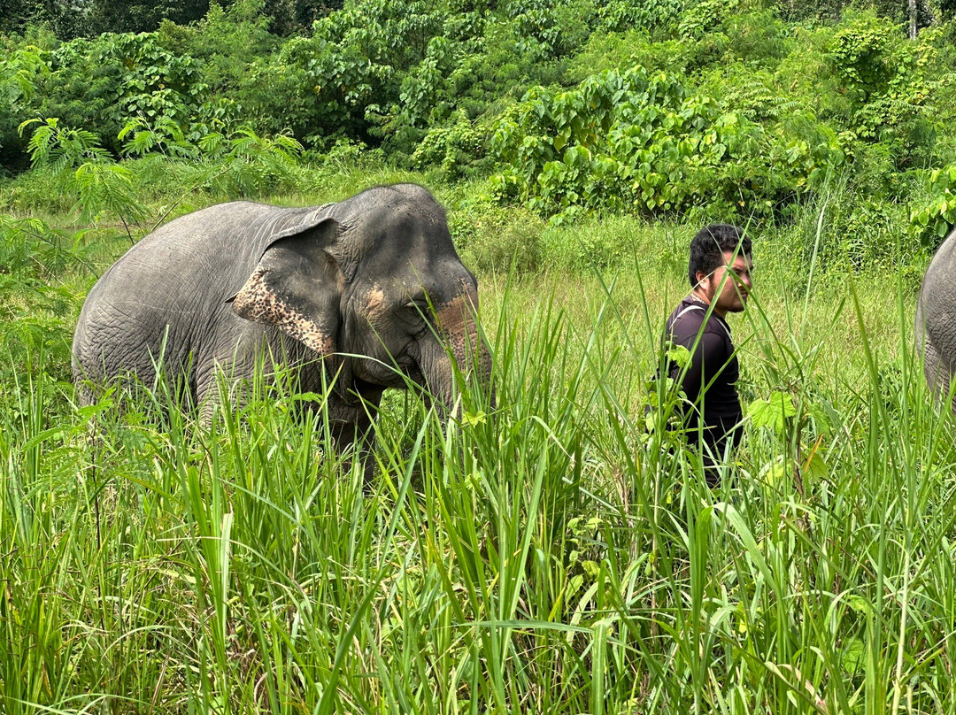 The Lake Phuket Elephant Home景点图片
