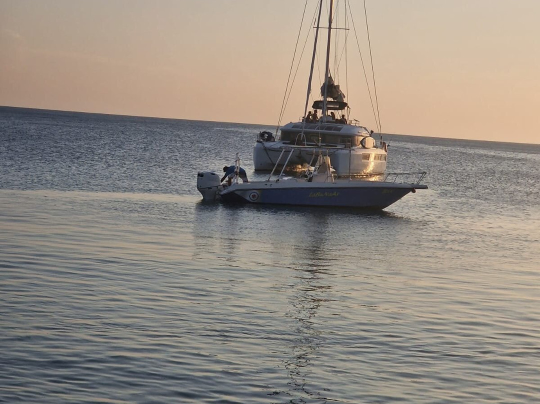 Caribbean Buddy's-Kralendijk必去景点