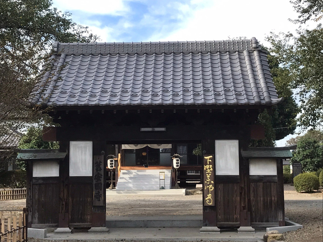 Shimotsuke Yakushi-ji Temple-下野市必去景点