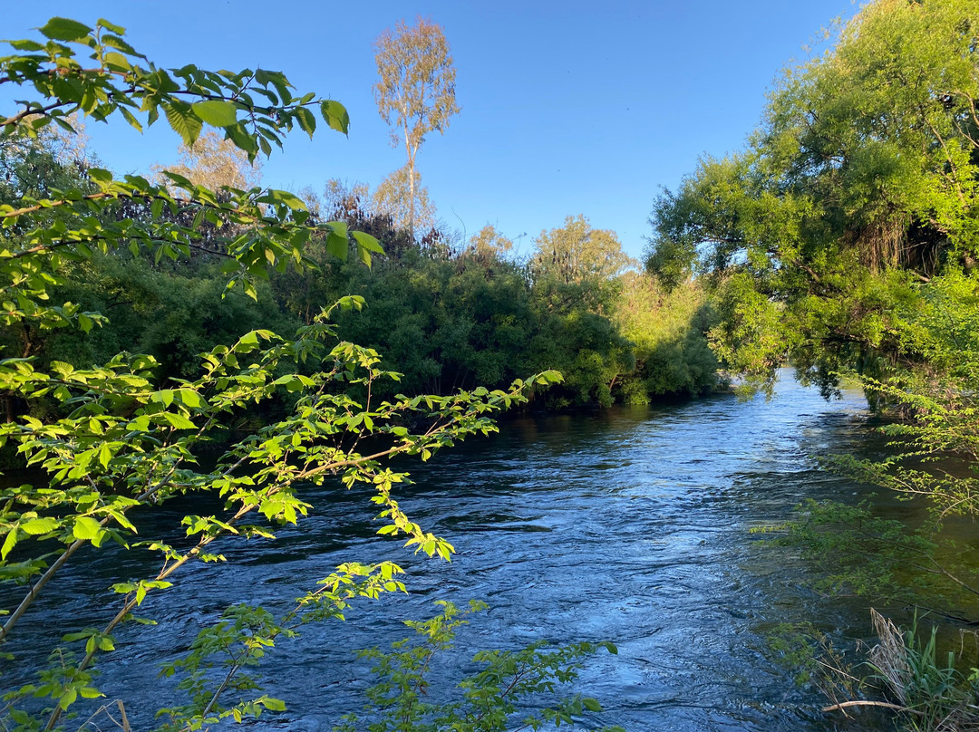 Tumut River景点图片