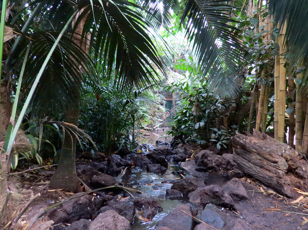 Vogelpark Avifauna-Alphen aan den Rijn必去景点
