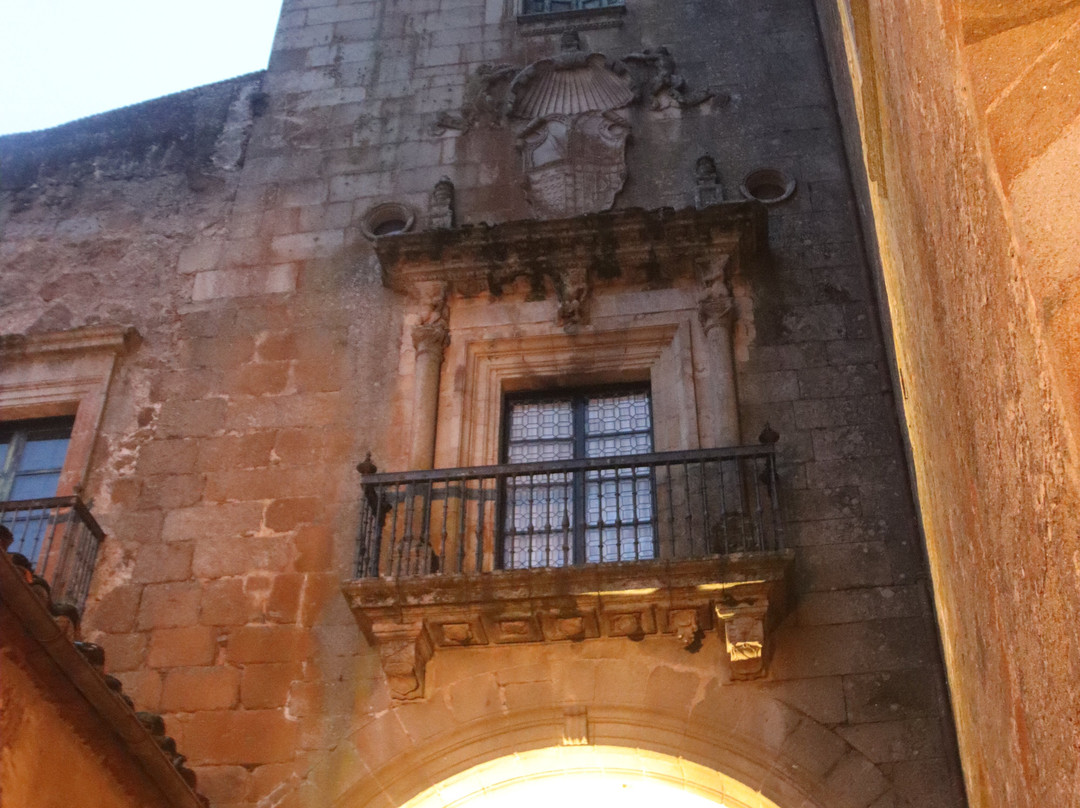 Palacio del Marques de Mirabel景点图片