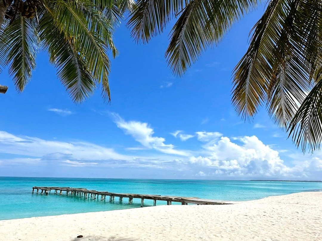 Blue Coral Vashafaru主图