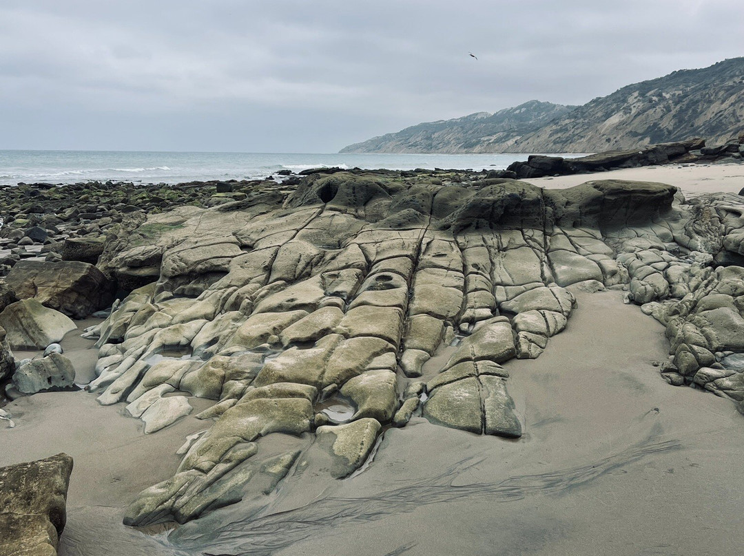 Playa Liguiqui景点图片