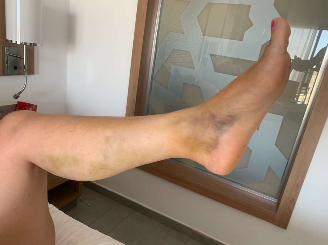 Boa Vista Tours-博阿维斯塔必去景点