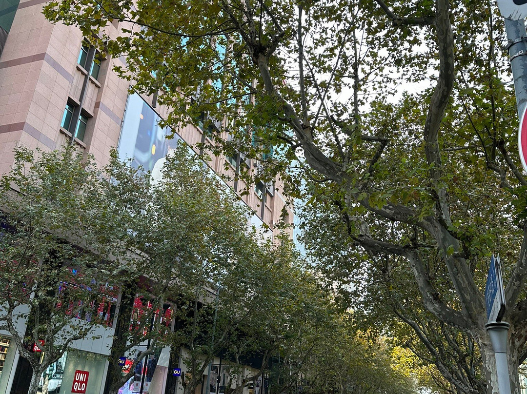 淮海路商业街-上海市必去景点