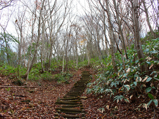 Futatsuyama Castle Ruins