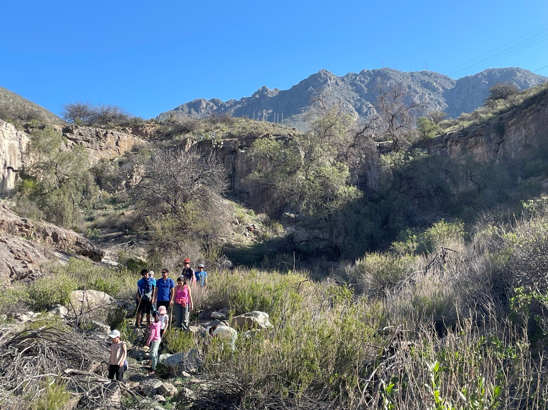 Parque La Giganta-Panquehue必去景点