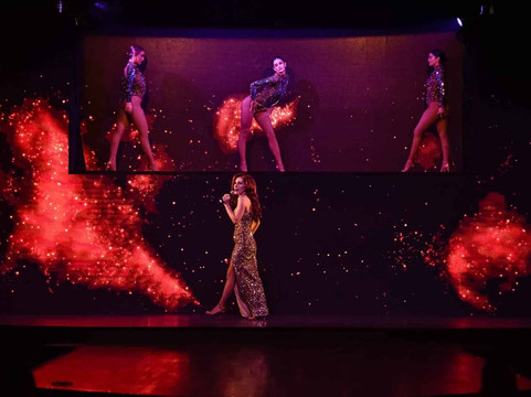 The Pink Flamingo Spiegeland-布里斯班必去景点