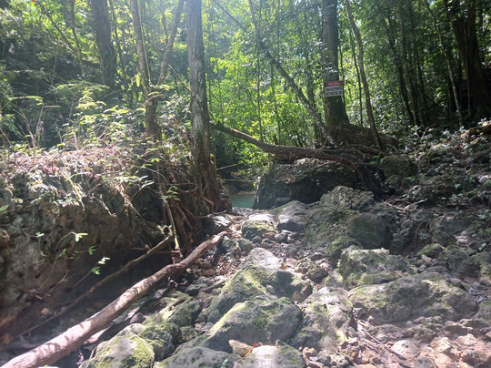 Salto De Socoa-Monte Plata必去景点