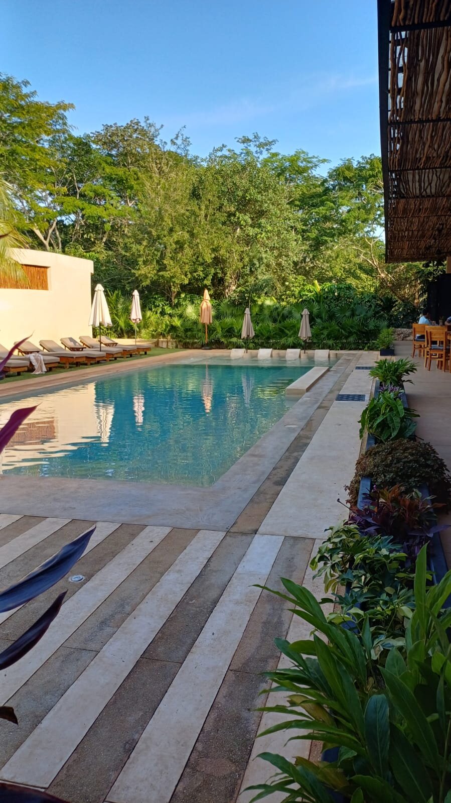 Destino Mío Mayan Jungle Retreat-泳池