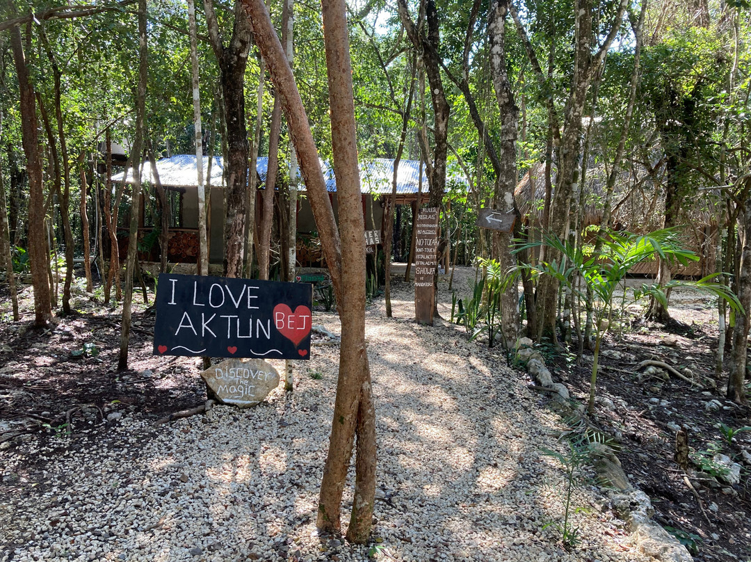 Parque Ecoturistico Cenote Aktun Bej景点图片