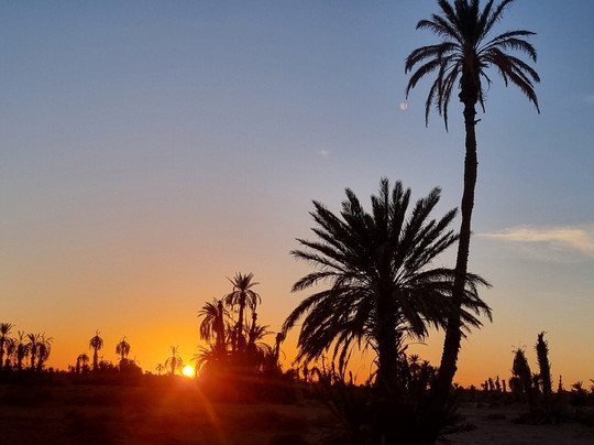 Osez Le Desert Maroc-迈哈米德必去景点