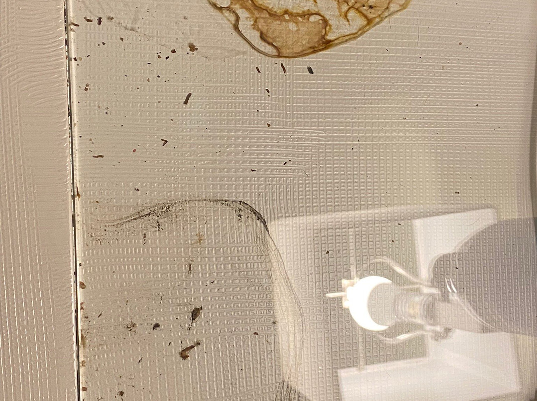 蒂哈查皮拉金塔酒店主图