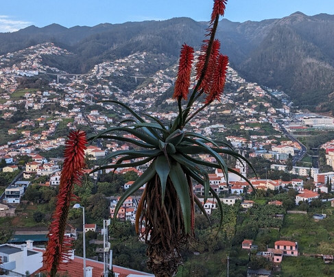 Adventure Trikes-沙尔必去景点