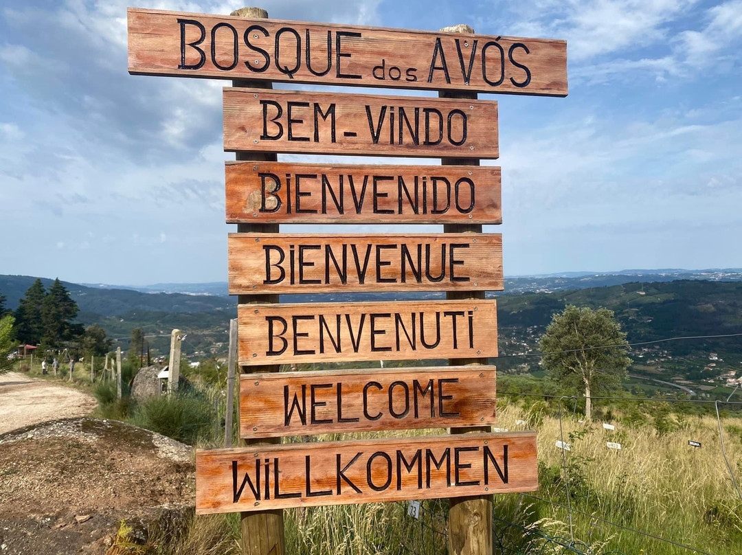 Bosque dos Avós景点图片