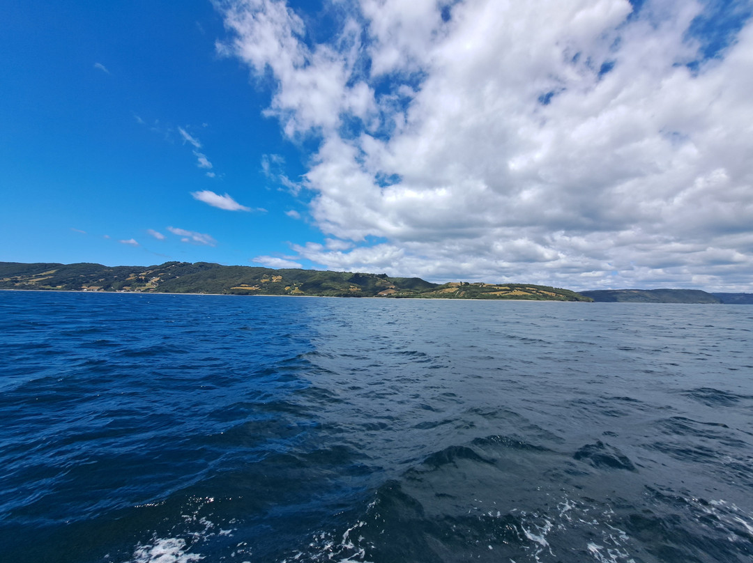 Quilun Ecoturismo Marino-Queilen必去景点