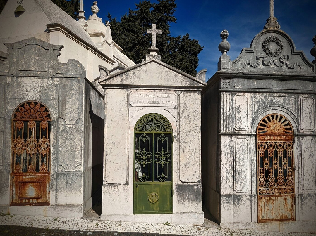 Cemiterio dos Prazeres景点图片