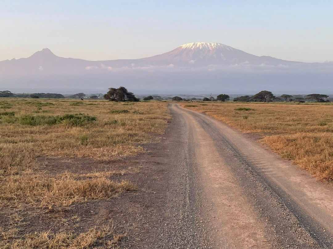 Angama Amboseli