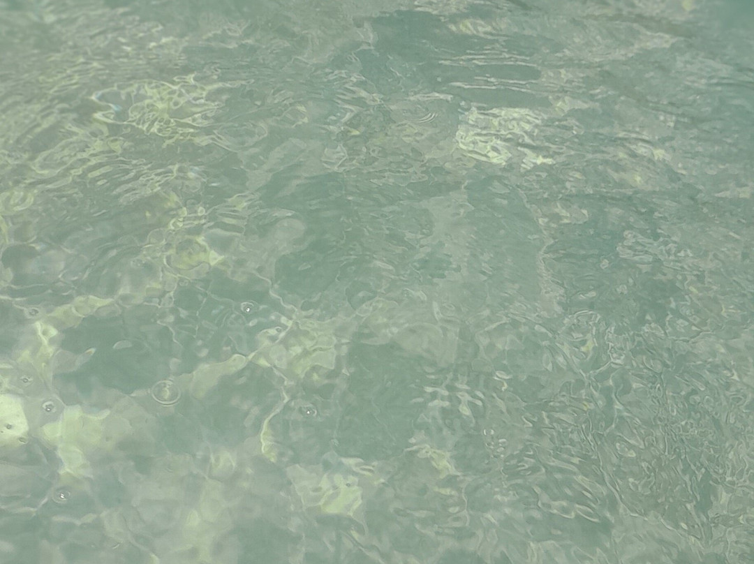 Parnaioca Beach景点图片
