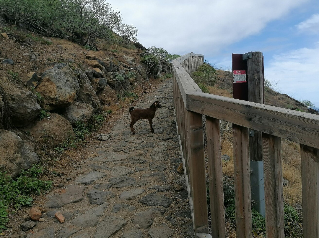 Paisaje Protegido De La Rambla De Castro-Los Realejos必去景点