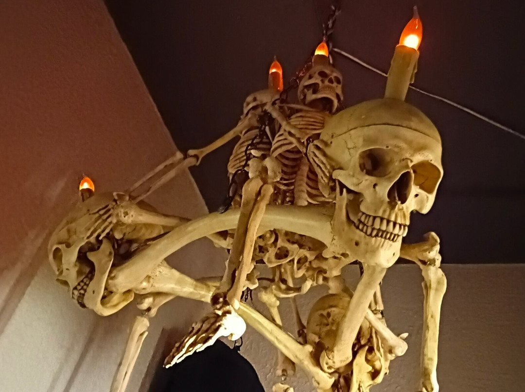 Museum of Skulls and Skeletons景点图片