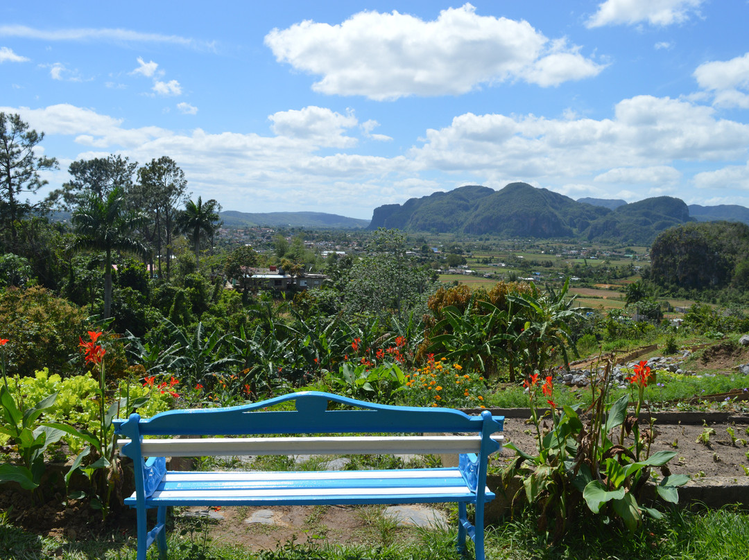 Sunny Vinales Tour-维纳勒斯必去景点