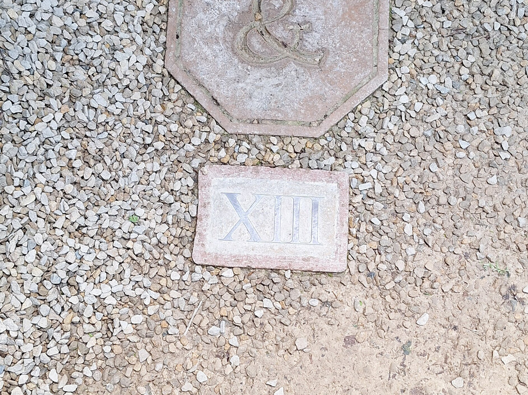 蜻蜓迷宫景点图片