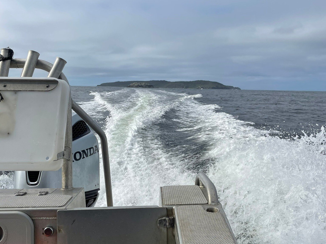 Rakiura Charters & Water Taxi景点图片