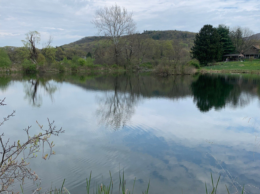 Hudson Highlands Nature Museum景点图片