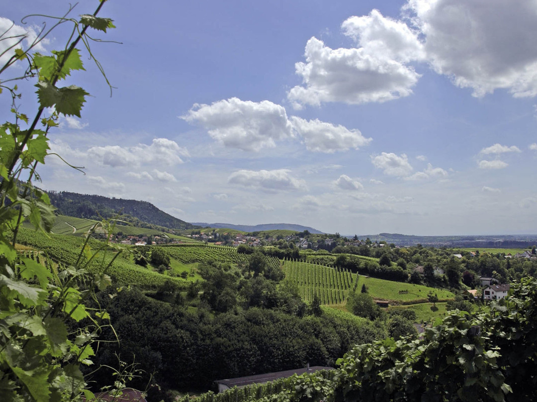 Holiday Inn Express Offenburg by IHG主图