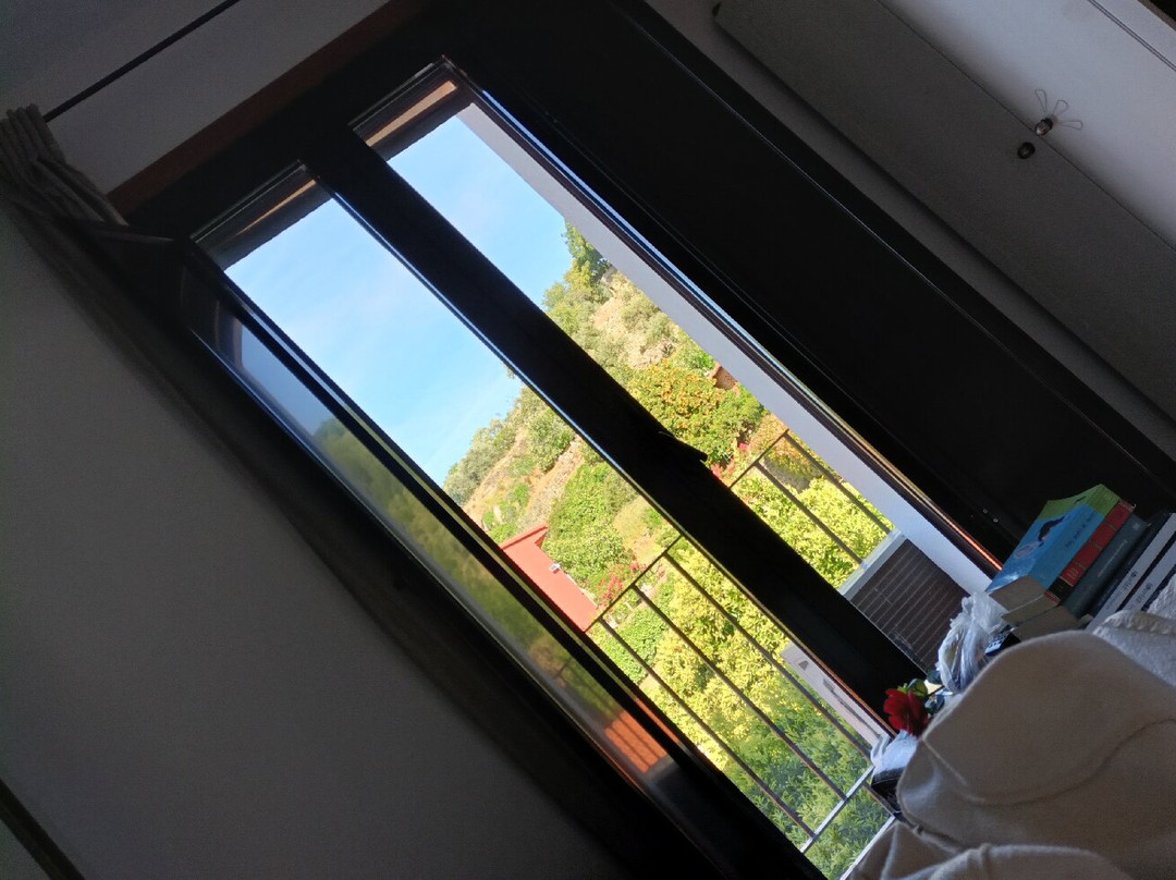 La Casa de Pasaron主图