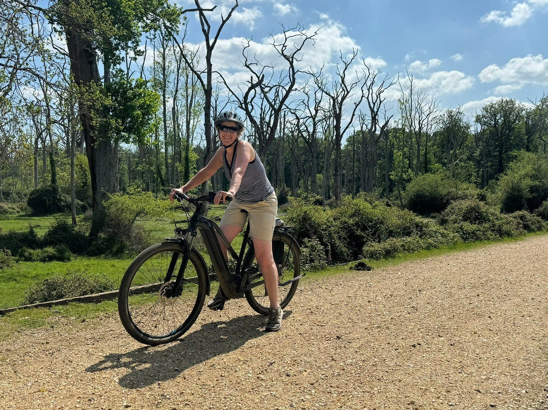 The Woods Cyclery景点图片