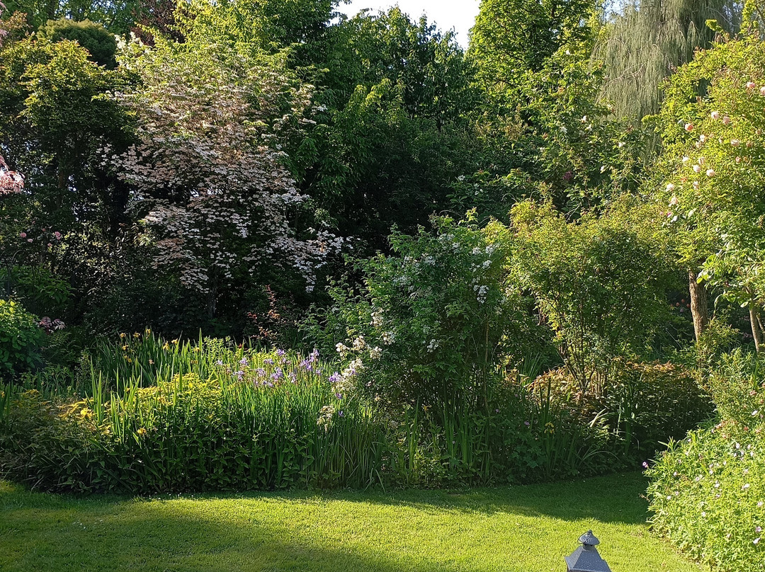 Jardin des Lianes景点图片