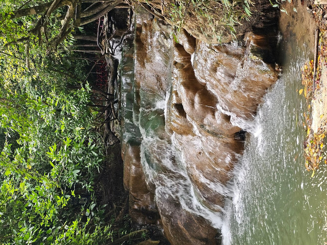Saline Hot Spring Khlong Thom景点图片