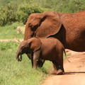 travelfun001