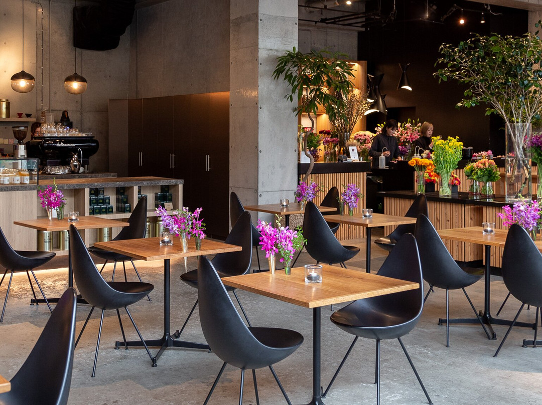 Nicolai Bergmann Nomu Aoyama