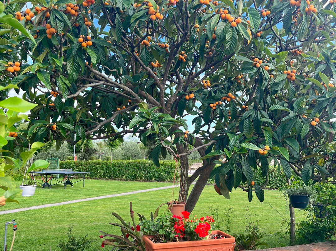 Agriturismo Casa Rosa主图