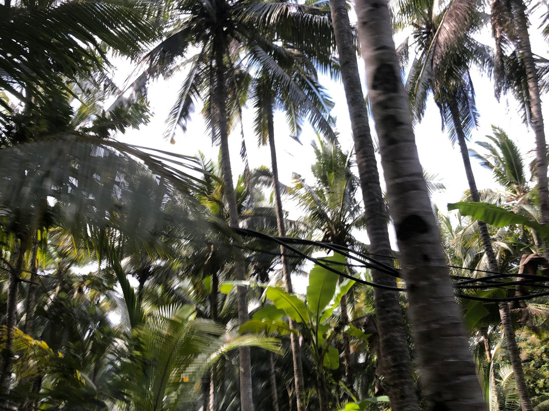 Bella Kita Mountain Retreat & Spa主图